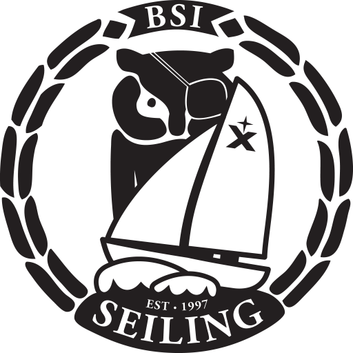 BSI Seiling Logo
